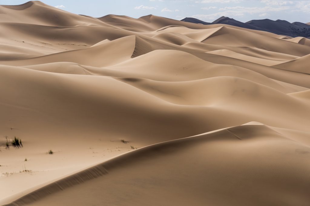 Visiting the Sand Dunes of Gobi on our Mongolian Experience