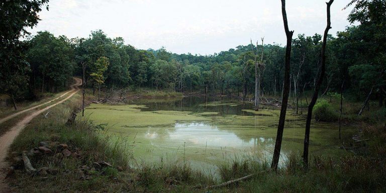 satpura national park