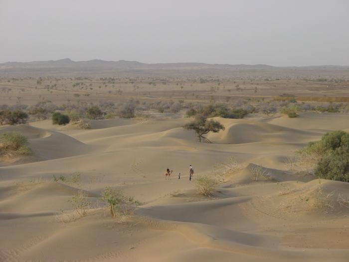 The vast Thar desert for as far as the eye can see