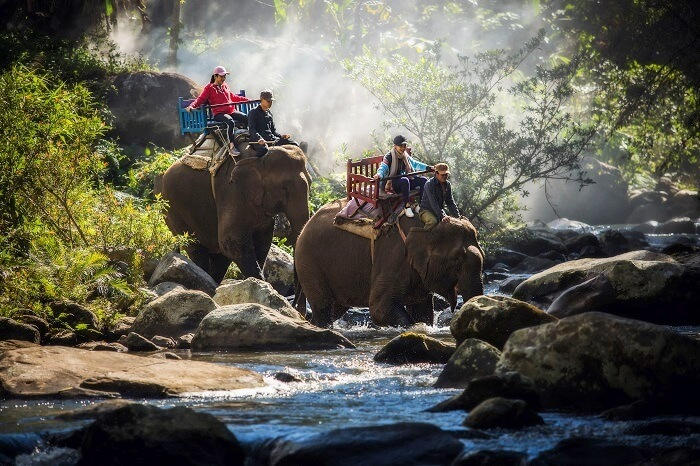 Elephant Safaris at Namdapha National Park